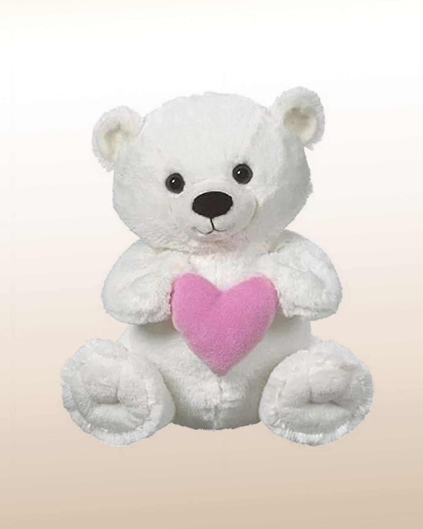 Cute Teddy Bear with heart