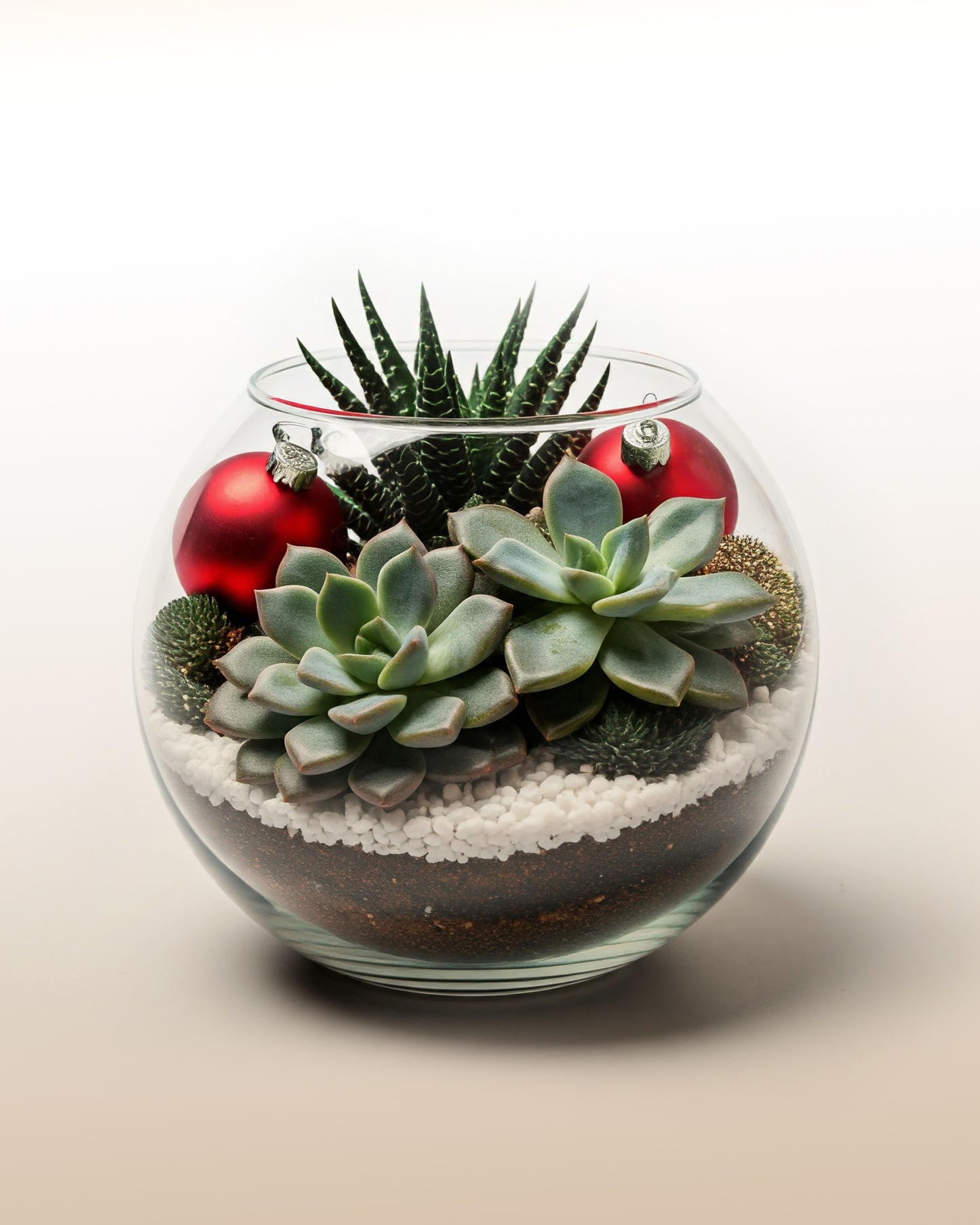 Alegria da Véspera de Natal