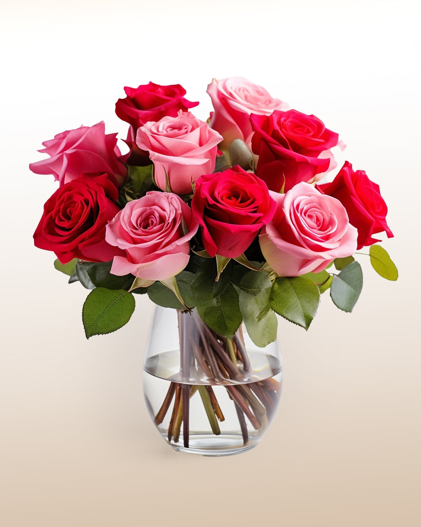 Arreglo Siempre Divertida