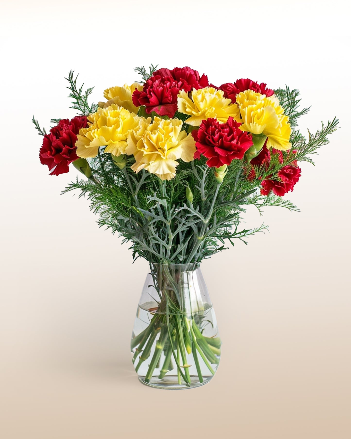 Bouquet de Claveles Coloridos