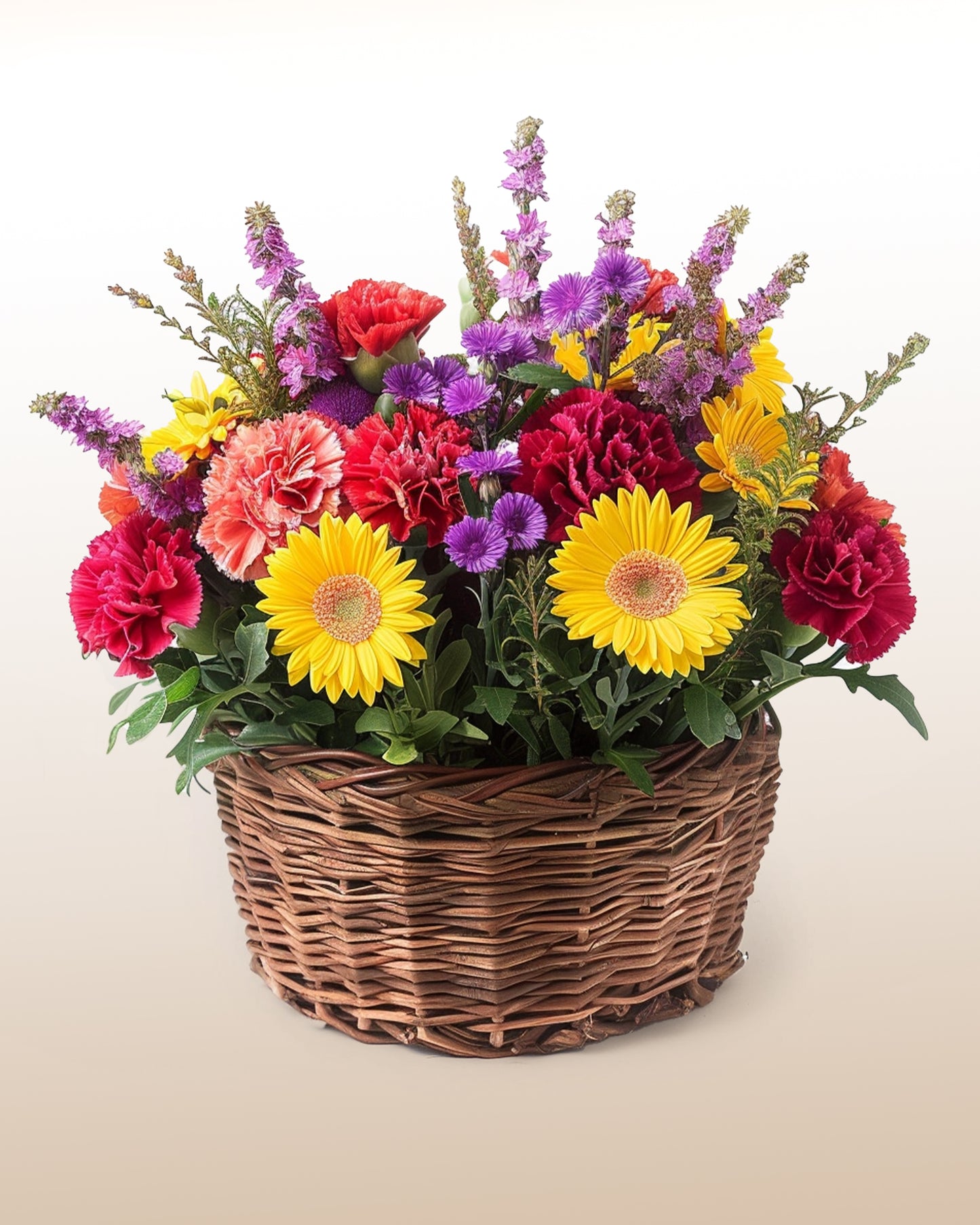 Celestial: Multicolor Carnations