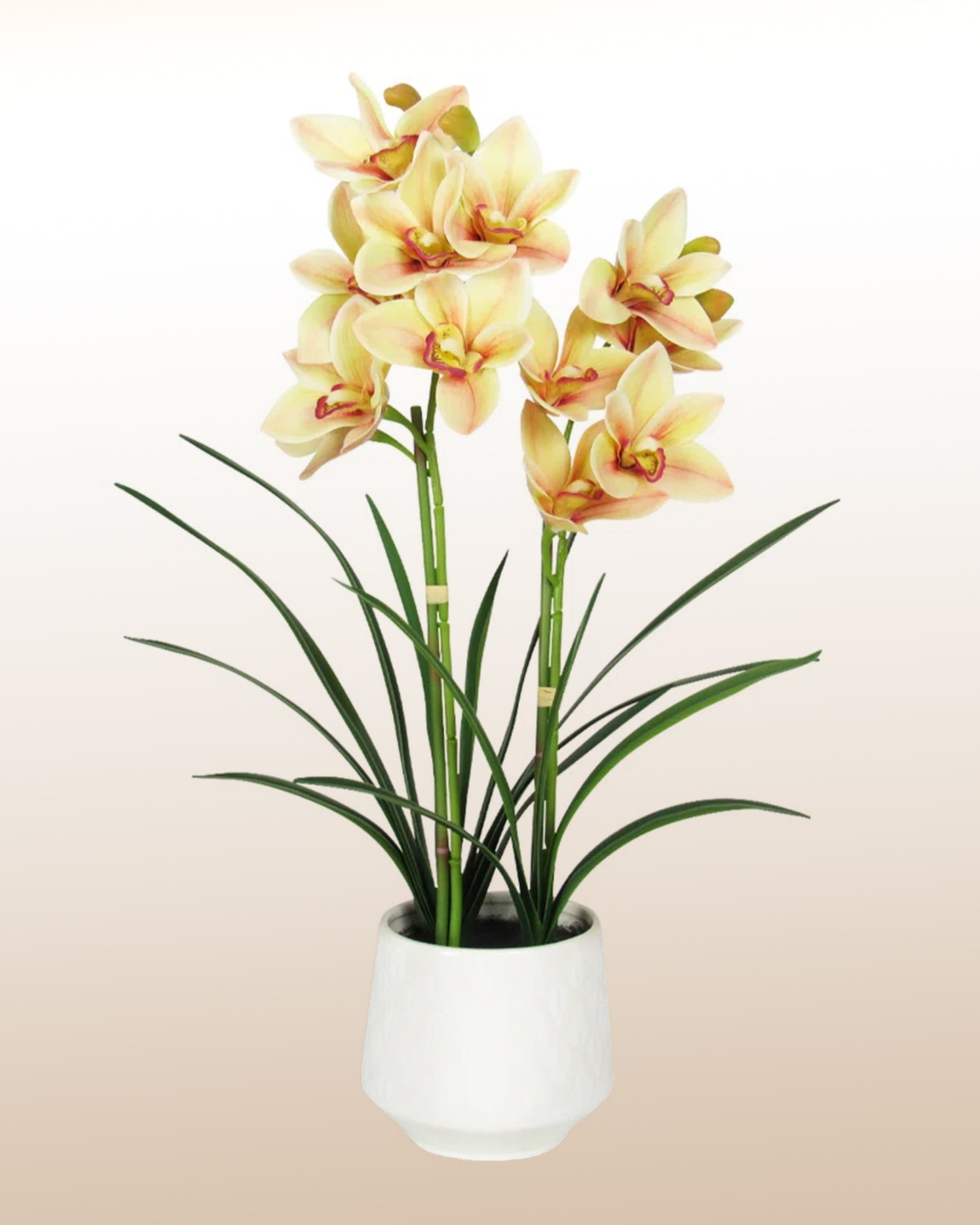 Grandiosa Inspiración