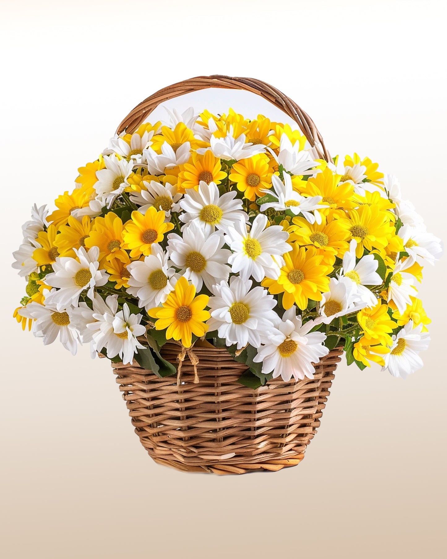 Memórias: Margaritas Blancas e Amarillas