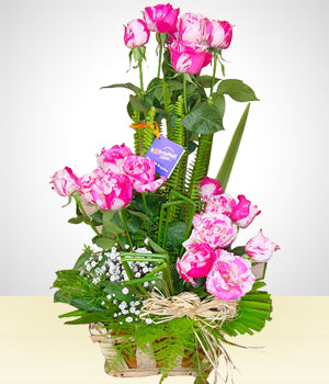 Rosas por Rosas