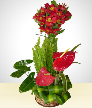 Bright and Cheery Anturios Bouquet