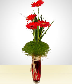 Cuarteto de Gerberas