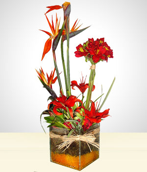 Primavera del Paraíso