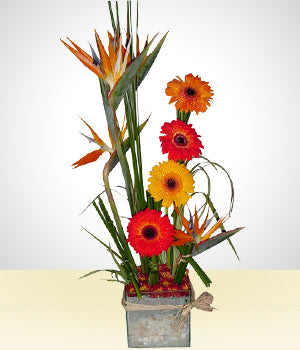 Flores de Verano