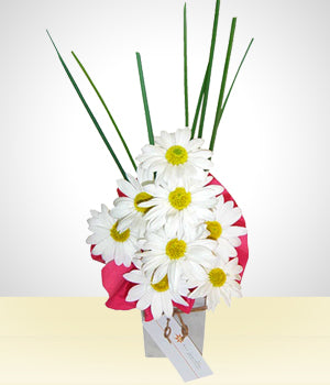 Coqueteo de Margaritas