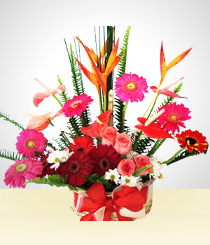 Arco Iris Floral