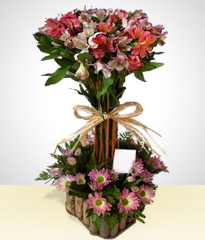 Arreglo de Astromelias