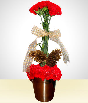 Detalle Navideño