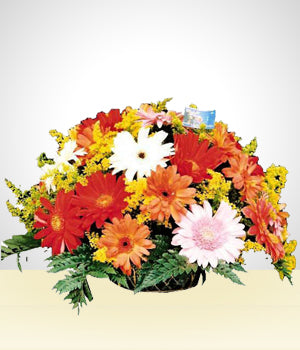 Sueños de Gerberas