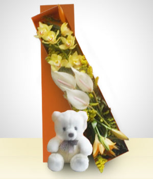 Cajita de Orquídeas y Oso de Peluche