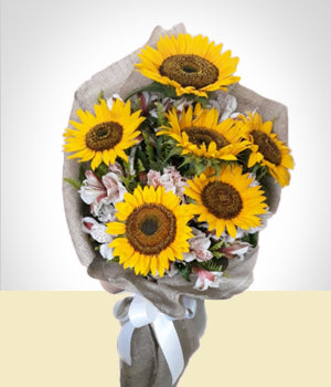 Girassóis Favoritos da Mamãe