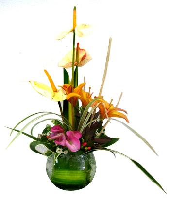 Arreglo de Anturios en pecera