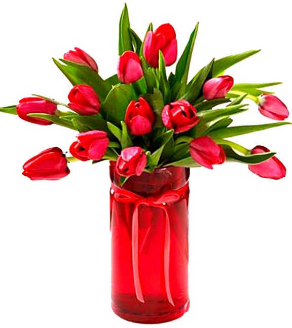 Enthusiastic branch of petals of roses