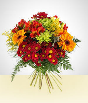 Bouquet multicolor