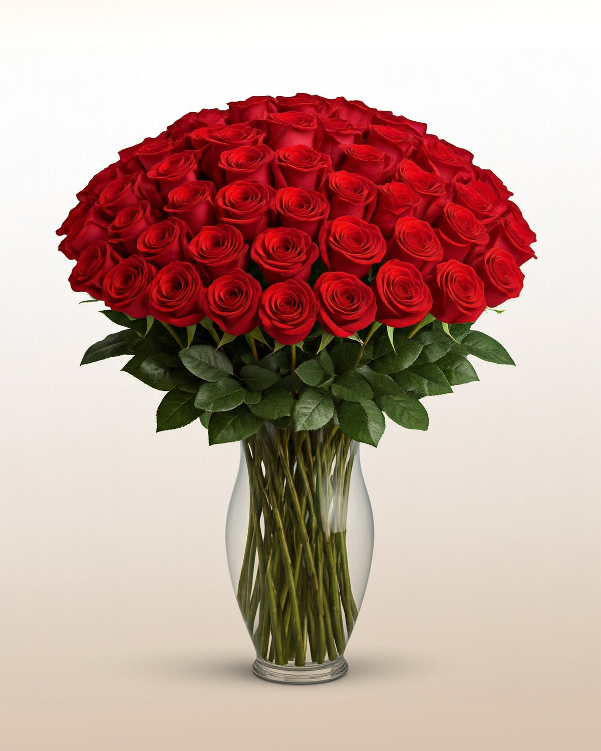 Mundo De Amor Roses Love Across Distance – LatinFlores.com