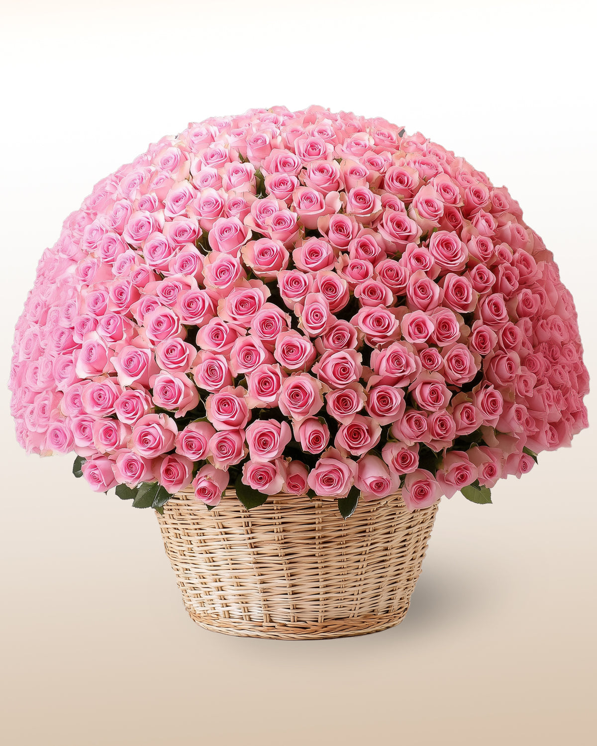 Rosanes Roses Rose Paradise – LatinFlores.com