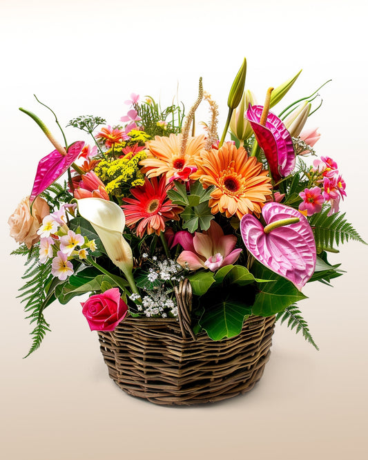 Freshness Agreement: Gerberas, Aastromelias and Lilies