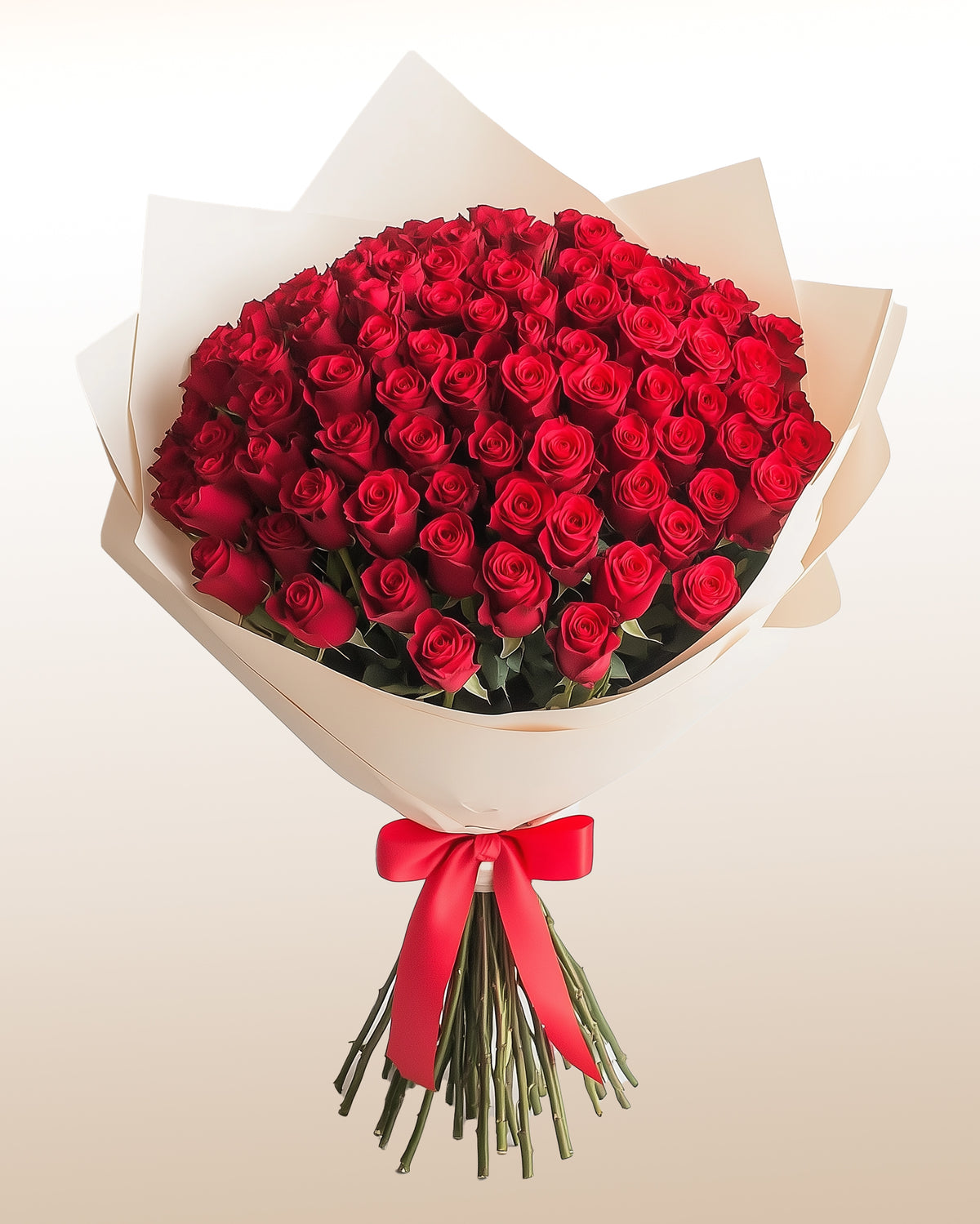 Gran ramo atado a mano de 50 rosas rojas envuelto en papel crema con cinta roja