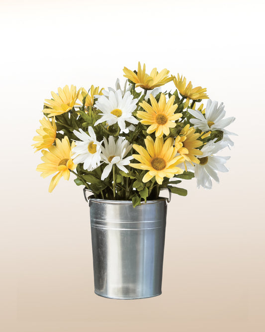 Shining: Daisies in Aluminum vase