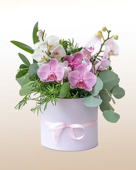 Caixa de orquídea