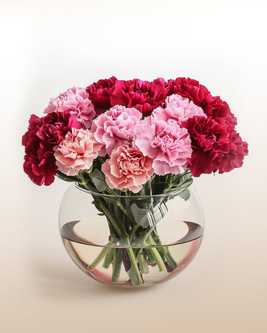 Dreamy Carnations