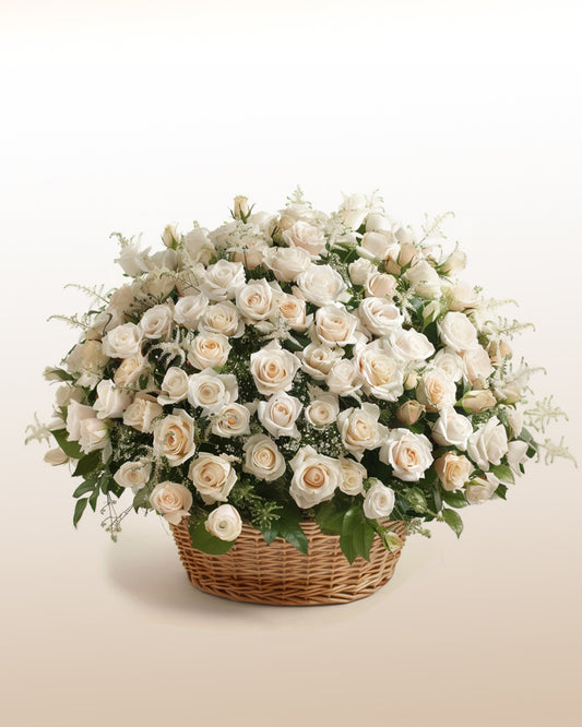 Impacto Champanhe : arranjo de 100 Rosas Blancas:
