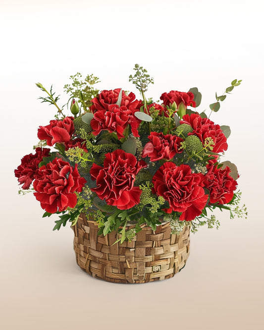 Insatiable: 12 Carnations in a Rustic Base