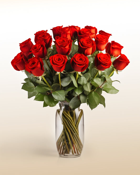 Majestic 24 Red Roses