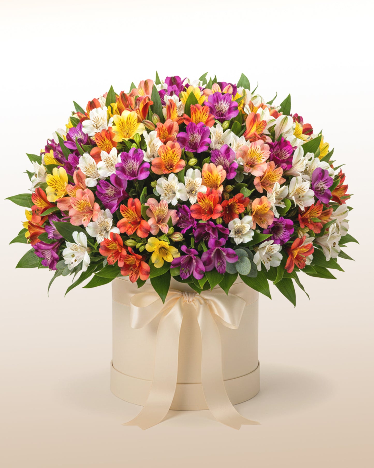 Sinfonie der Alstroemerien