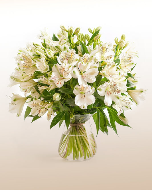 To a beloved one: Vase with White Astromelia