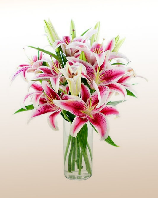 Seed Love: Pink Lilies in vase