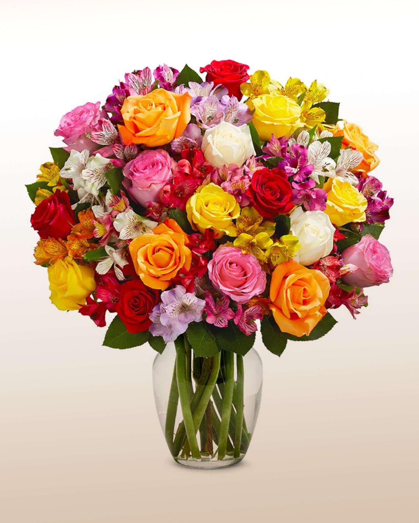 Rosanes Roses Sunny Roses – LatinFlores.com