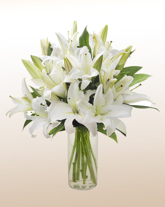 Tranquility: White Lily