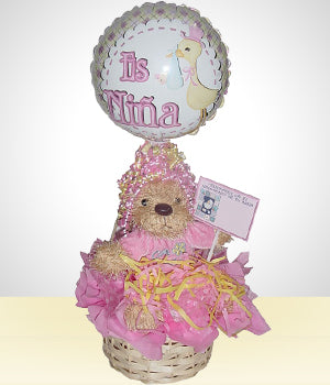 Bienvenida Bebita