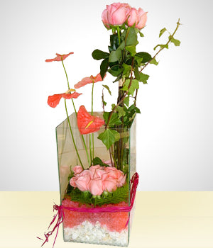 Rosa lindas