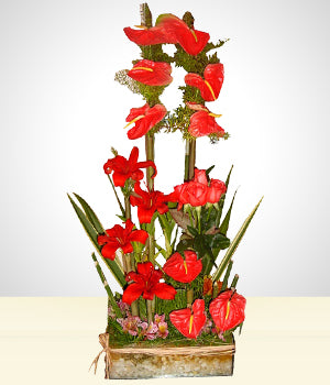 Anturios y Rosas