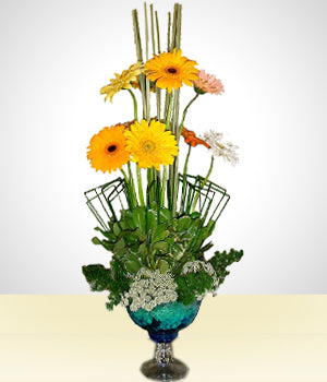 Arco Iris de Gerberas