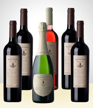 Set of 6 Delicious Wine Bottles