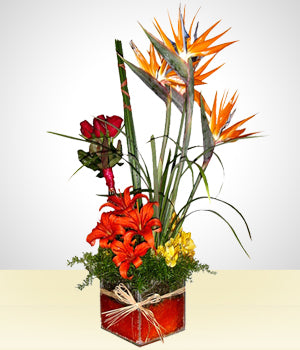 Arreglo Tropical II