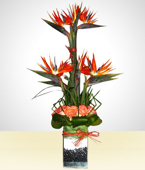 Arreglo Tropical III