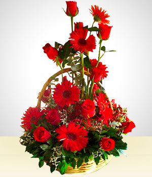 Detalle Rojo