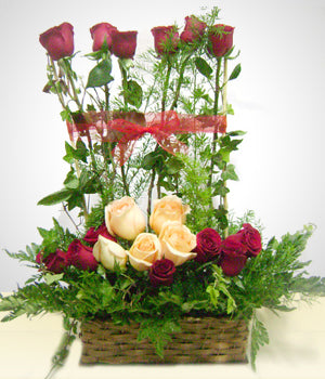 Combinación de Rosas