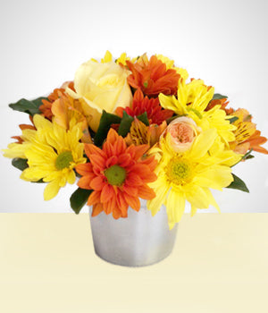 Florista: Flores do campo em vaso de aluminio