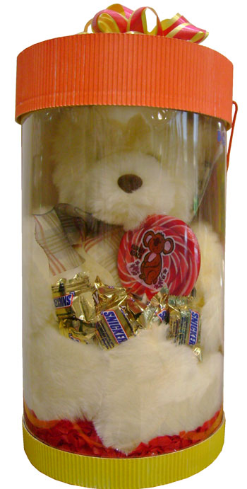 Sof toy bear special box